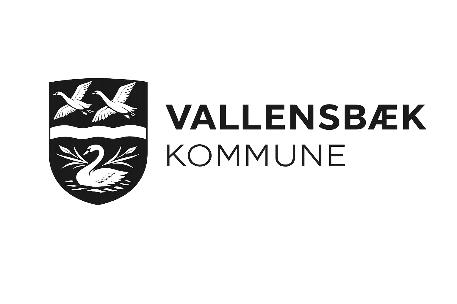 Vallensbæk Kommune