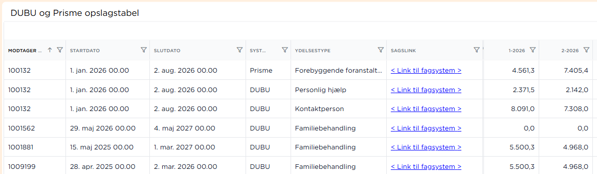 Opslagstabellen kobler sagsniveau og økonomital sammen for den enkelte borger.